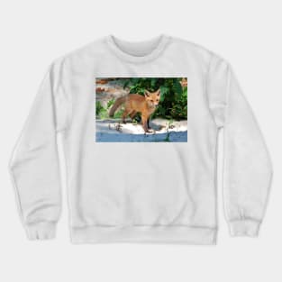 Wild Baby Crewneck Sweatshirt